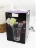 Glass Vase with Gift Box